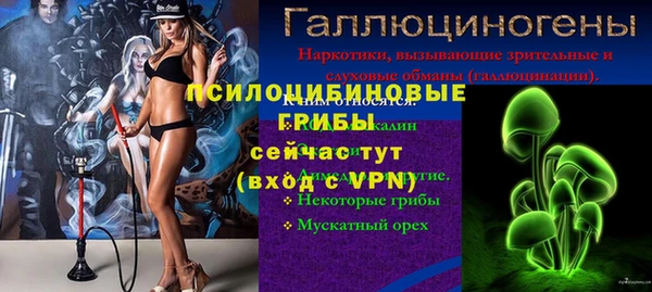 гашик Абинск